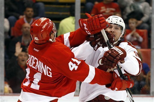 Arizona Coyotes vs. Detroit Red Wings at Gila River Arena