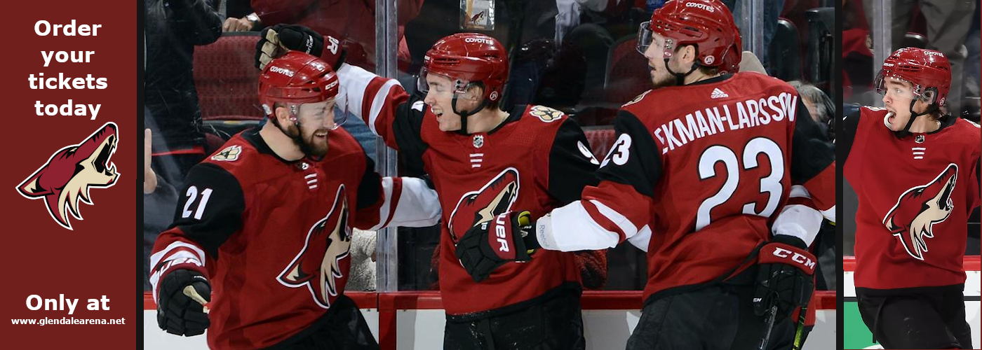 Arizona Coyotes gila river arena