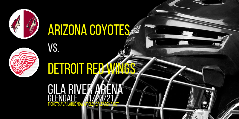 Arizona Coyotes vs. Detroit Red Wings at Gila River Arena
